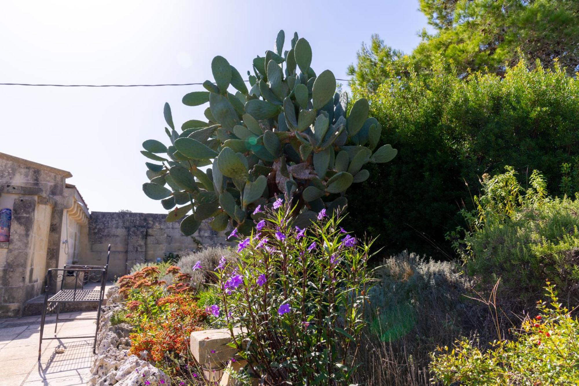 Masseria Caliani Borgagne Eksteriør bilde